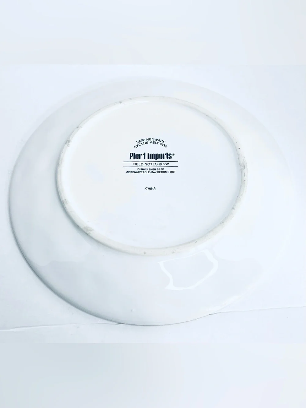 Pier 1 Imports Field Notes Bird Floral Earthenware Dinner Plate 9” Nature